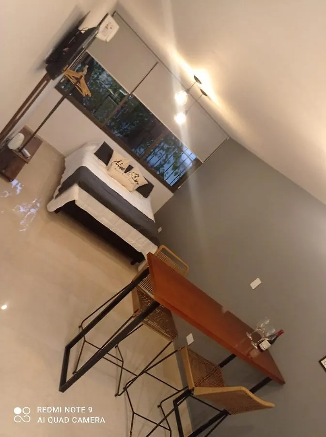 Magnum Apartments Studio Mendoza